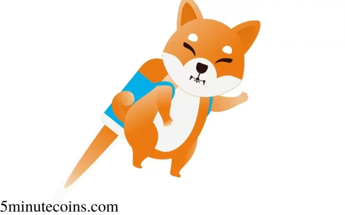 How much is 1 million Shiba Inu worth?