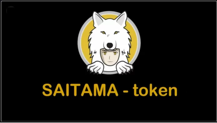 image for Saitama wallet