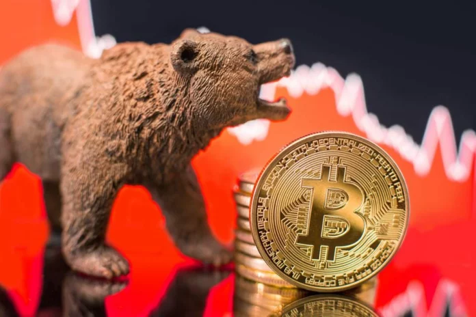 Crypto Bear Market, Credit: Forbes