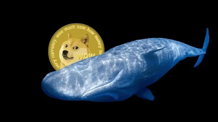 Whale purchased huge amount of Dogecoin, Credit: Cryptory