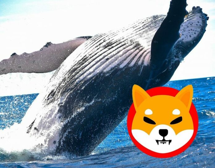 Shib WhaleStats Report, Credit: Coincu News