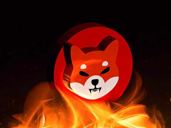 Shiba Inu Token burning at a good rate