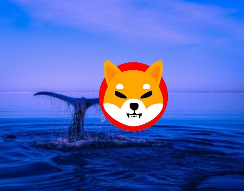 WhaleStats on SHIB, Credit: Watcher Guru