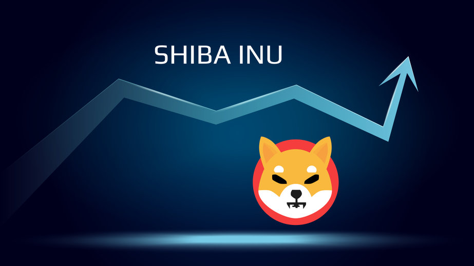 Shiba Inu Price Range, Credit: Twitter