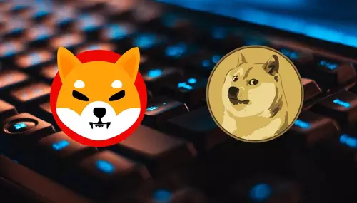 Dogecoin and Shiba Inu might not be able to beat Bitgert price, Credit: FX Empire