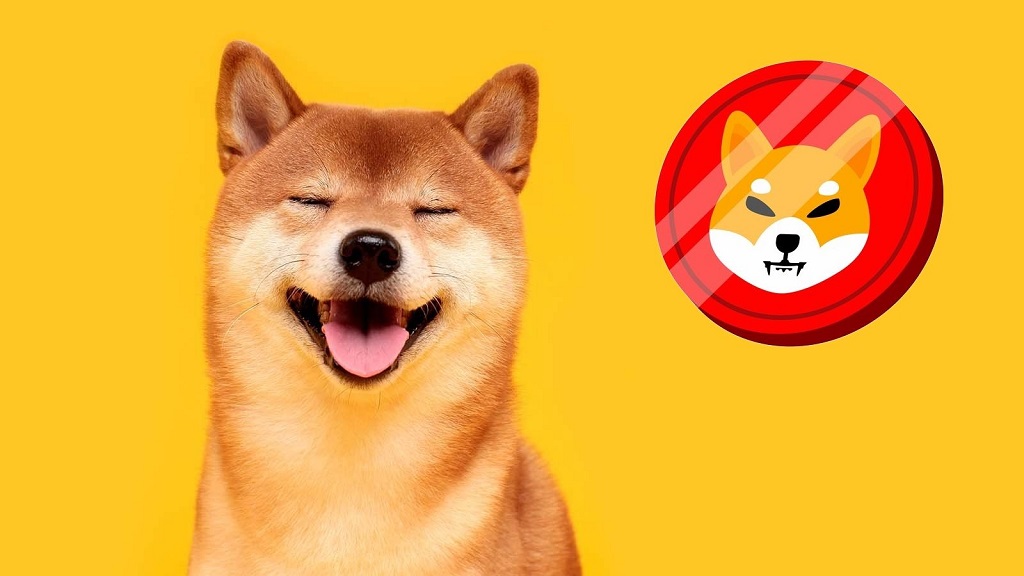 Shiba Inu Burn Rate Rises