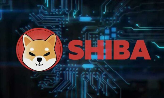 Shib Token gaining attention