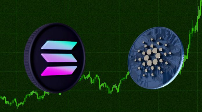 Bitgert shall take lead over Solana and Cardano