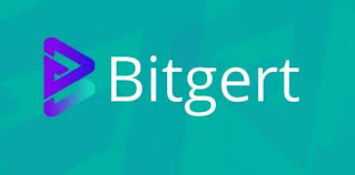 Investors have started to assemble Bitgert