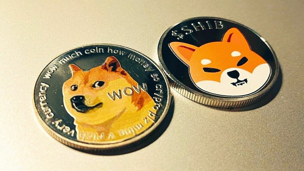 SHIB and DOGE have lesser acceptance 